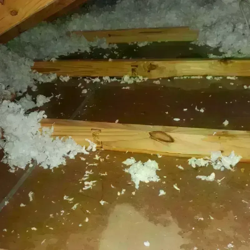 Attic Water Damage in McGraw, NY